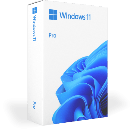 Windows 11 Pro