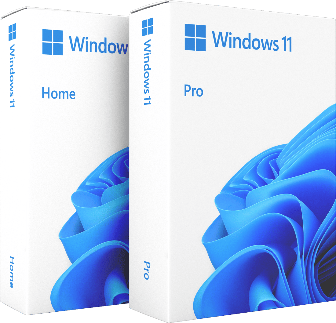 windows 11 en 10 pro